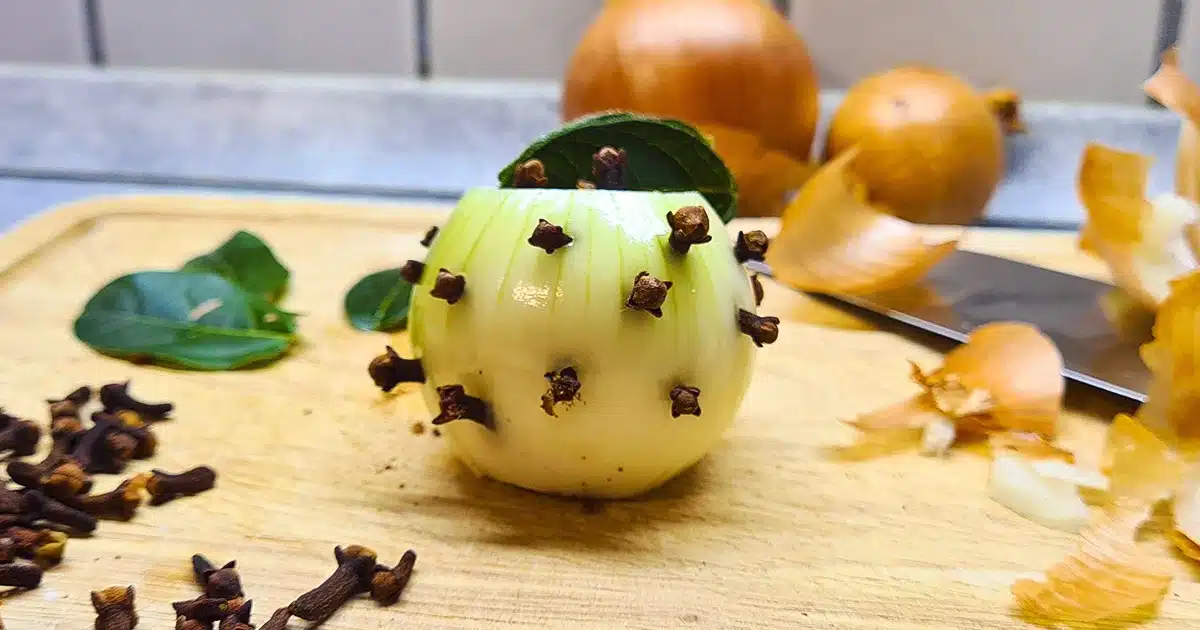 Plantez des clous de girofle dans un oignon, l’effet est magique