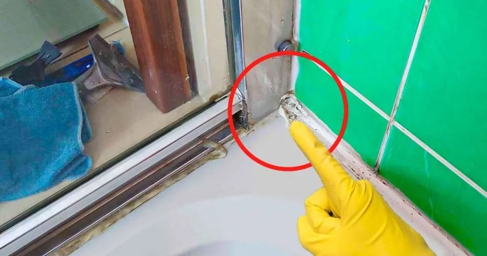 Comment puis-je éliminer la moisissure des joints de la douche ?