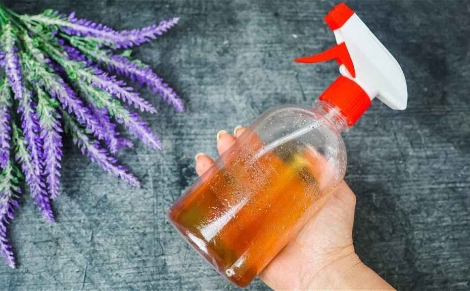 Ne gaspillez pas d’argent, préparez ce répulsif naturel pour les moustiques pour les tenir à distance instantanément.