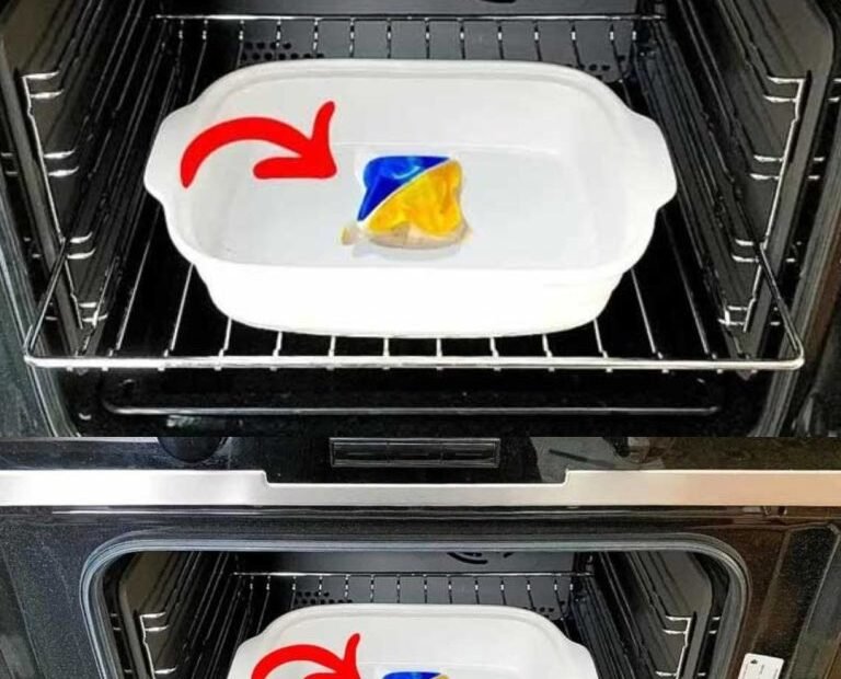 La astuce pour un nettoyage du four « sans fatigue ». Même la graisse brûlée disparaît