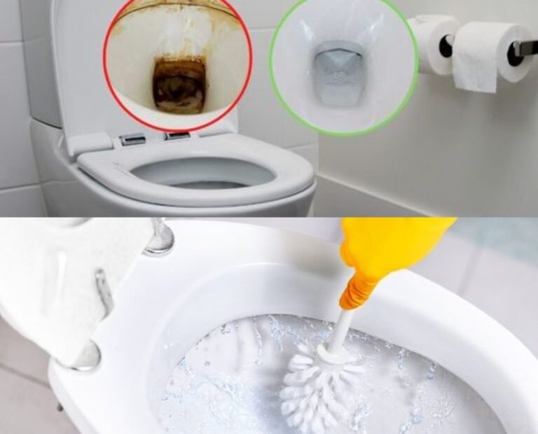 2 ingrédients que nous avons tous à la maison pour rendre la salle de bain neuve