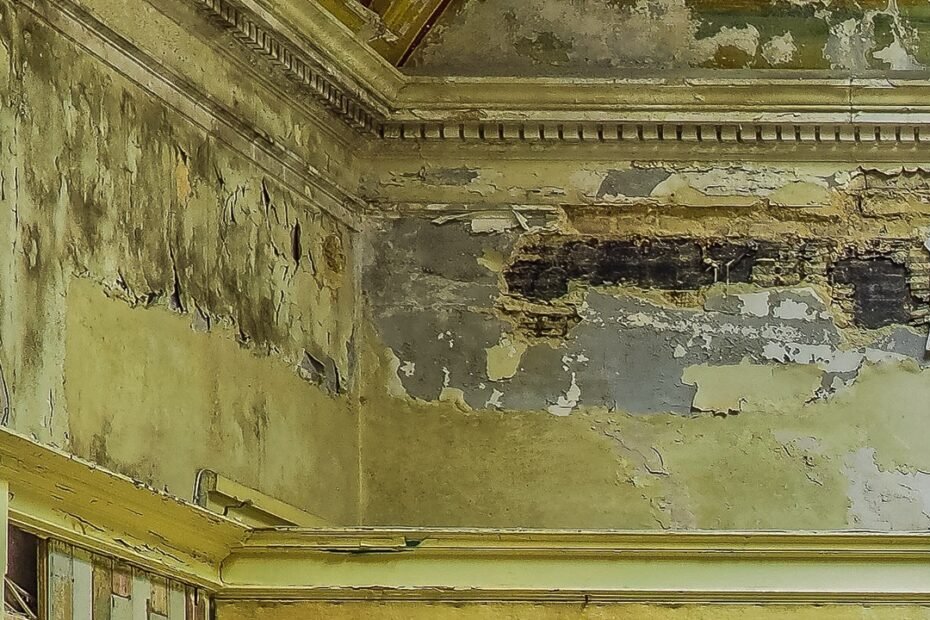 Pourquoi la moisissure sur les plafonds et les murs se reforme-t-elle toujours ? La solution que vous n’attendez pas