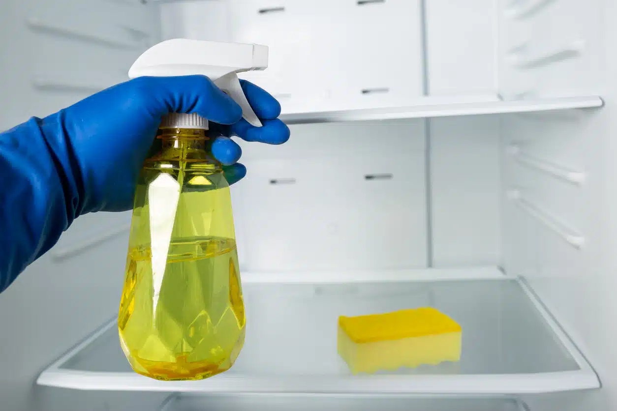 Arrêtez de gaspiller votre argent avec des détergents industriels pour réfrigérateurs ! Cette alternative naturelle et non toxique est imbattable.