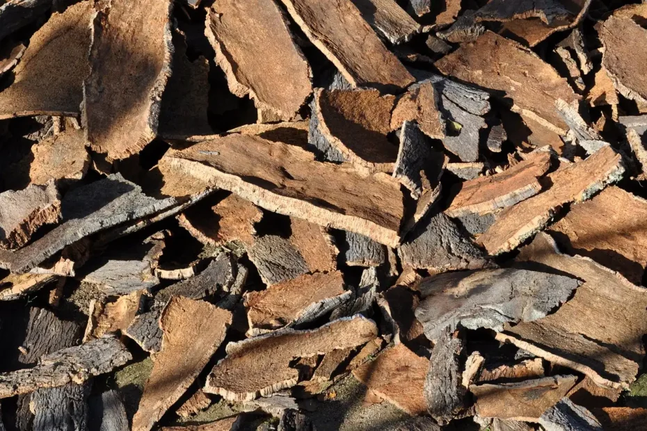 Le matériau isolant naturel que les Romains utilisaient pour empêcher le froid de passer dans la maison