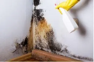 Comment enlever la moisissure des rails de douche et du silicone