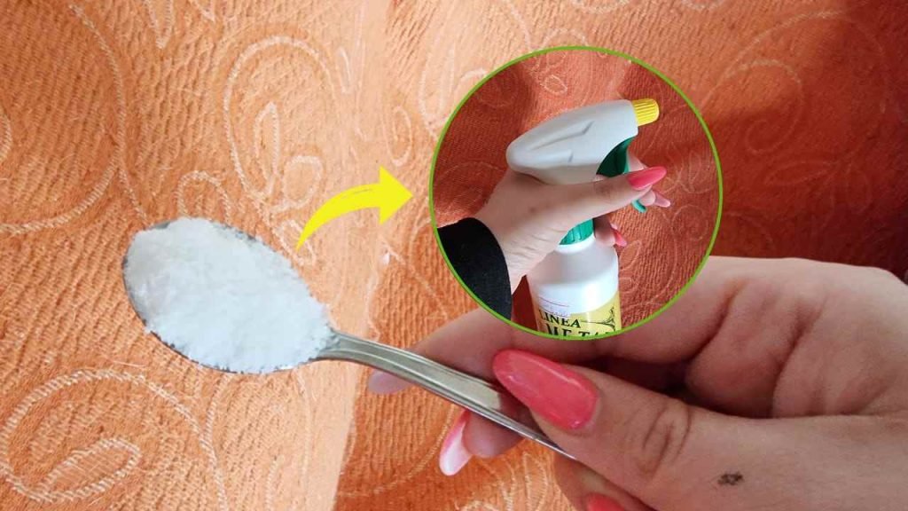 Comment nettoyer parfaitement le canapé sans le montrer : on dirait qu’il vient d’être acheté