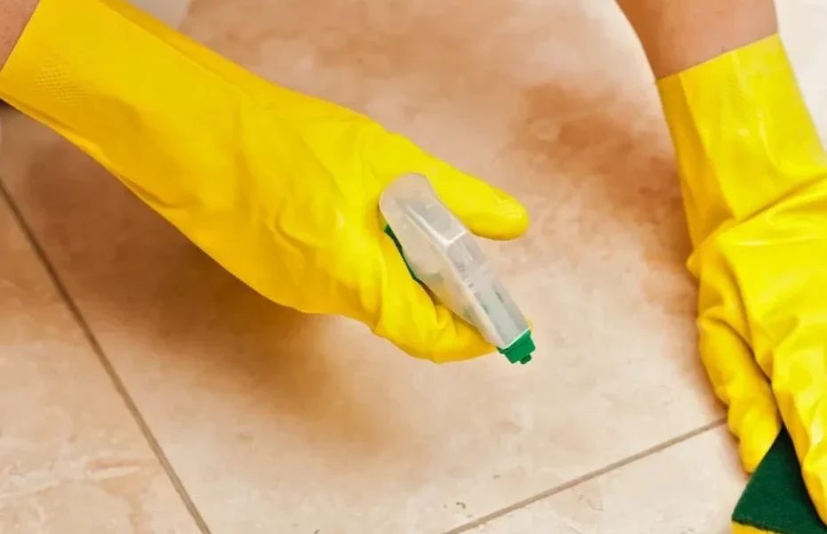 BICARBONATE DE SODIUM POUR LE NETTOYAGE DES CARREAUX