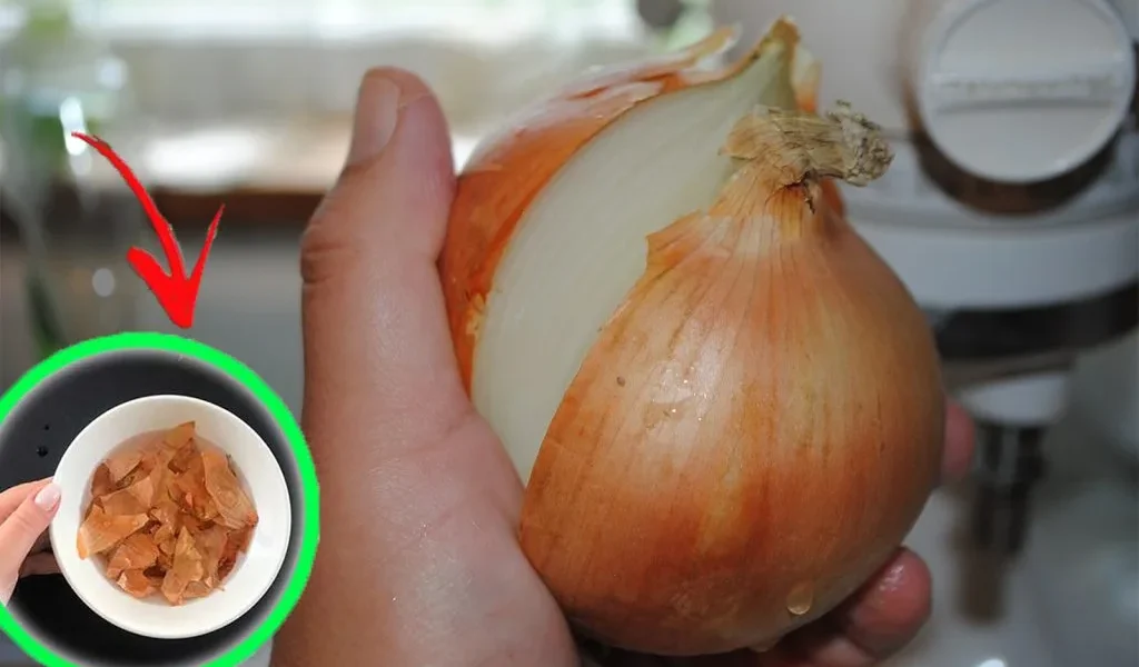 Ils enfouissent toutes les pelures d&rsquo;oignon dans le potager. Une vieille astuce de jardiniers.