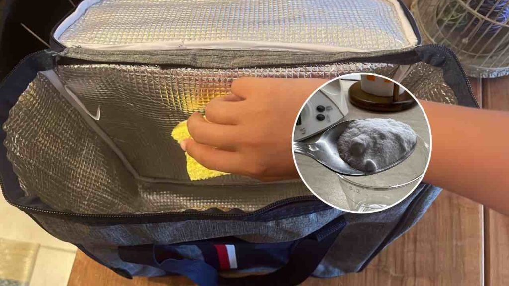 Sac réfrigérateur, voici comment le nettoyer sans laisser une seule tache de saleté