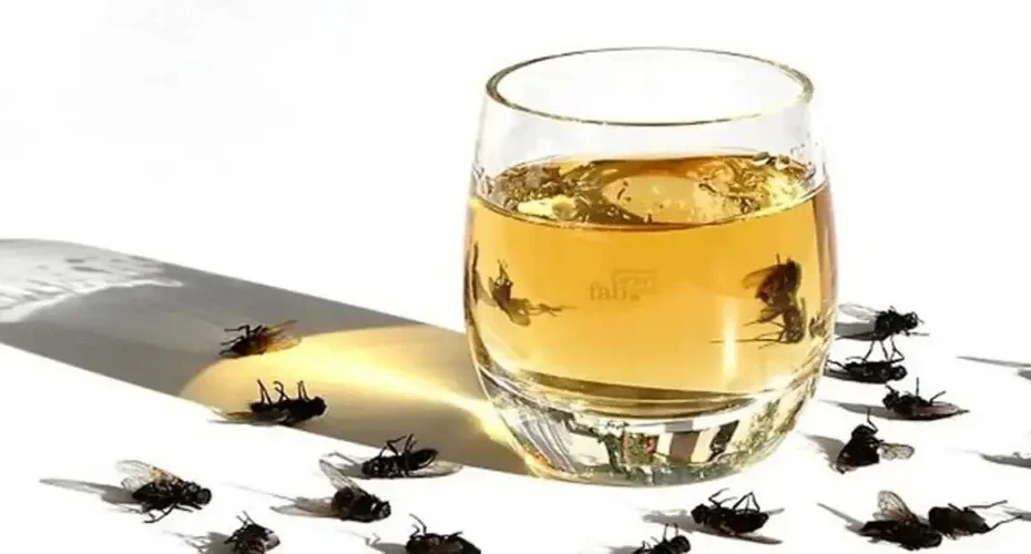 Un vieux truc pour se débarrasser des mouches et des cafards à la maison