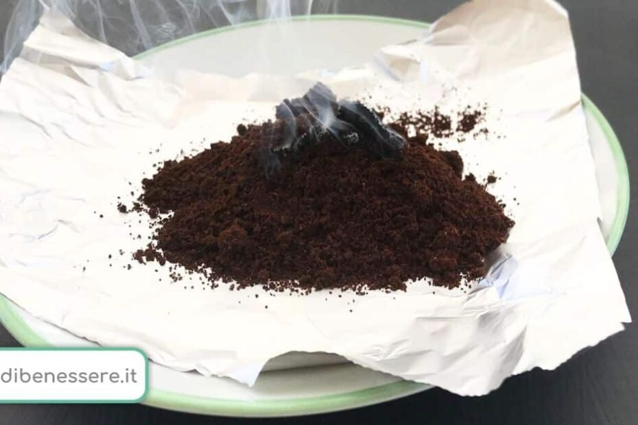 Comment chasser les moustiques avec des fonds de café