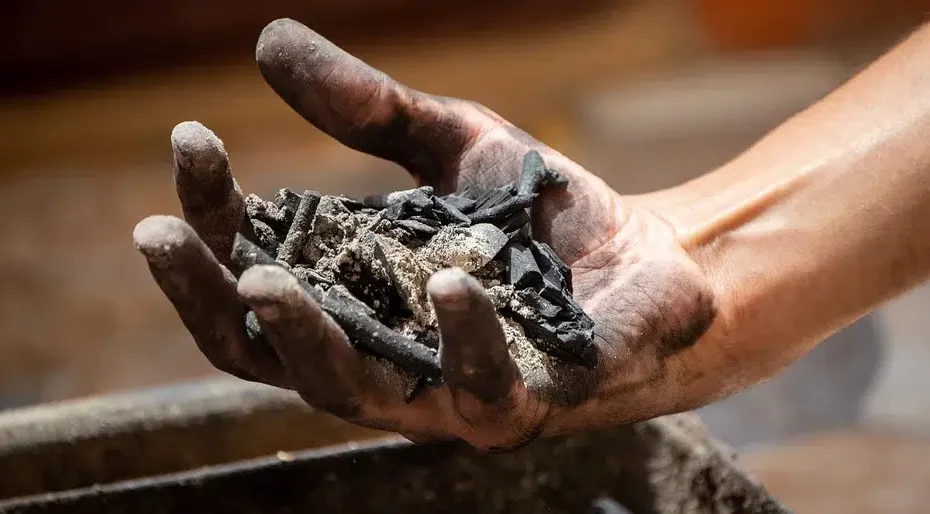 4 choses qui peuvent être nettoyées avec des cendres de bois