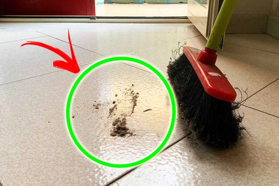 Comment ne pas avoir trop de poussière à la maison avec les portes ouvertes