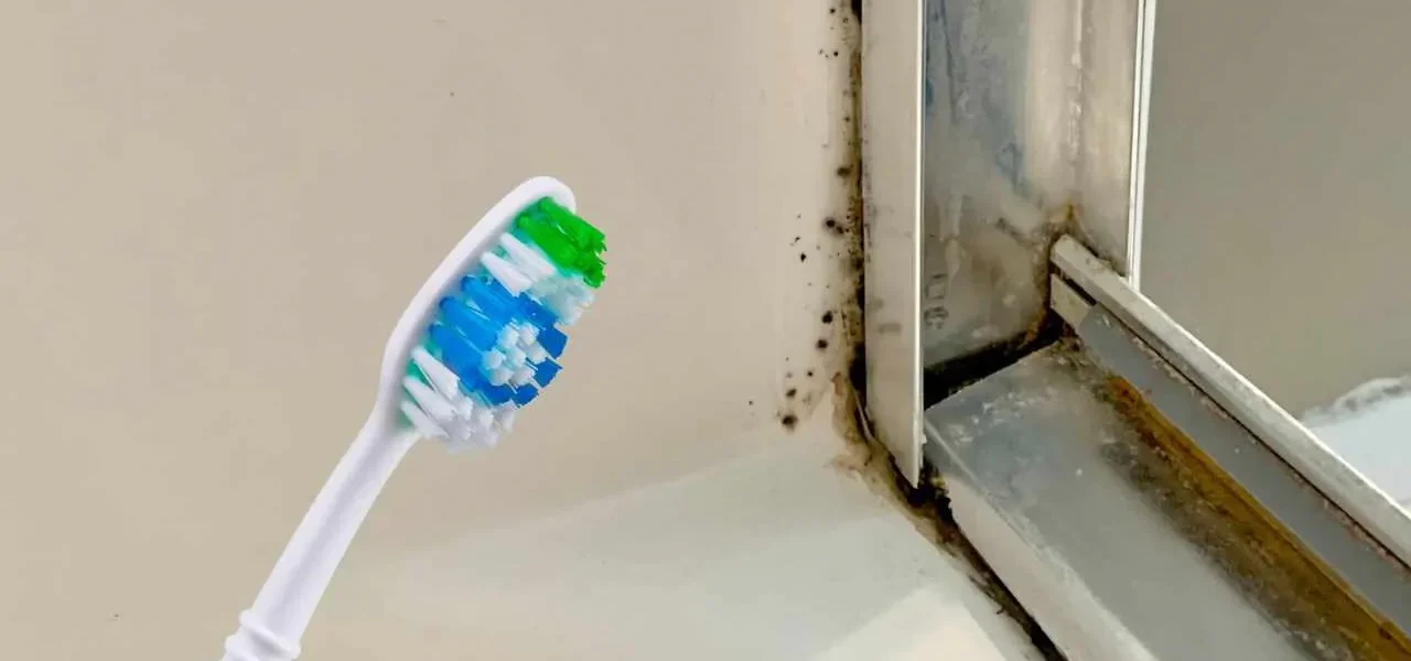 Des coins de douche couverts de moisissure ? Tu peux y remédier et tout remettre en état.