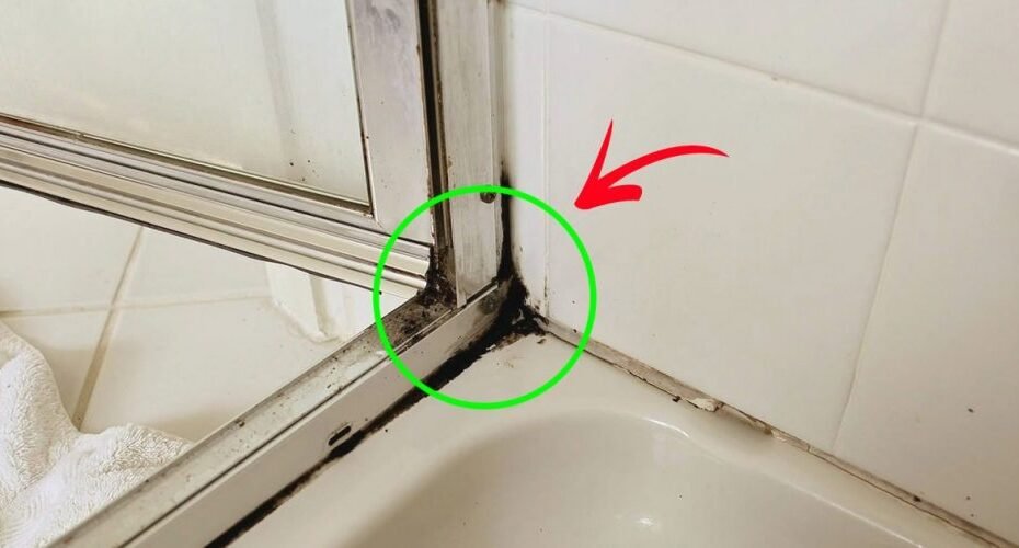 La méthode la plus rapide pour éliminer la moisissure sur le silicone de la douche
