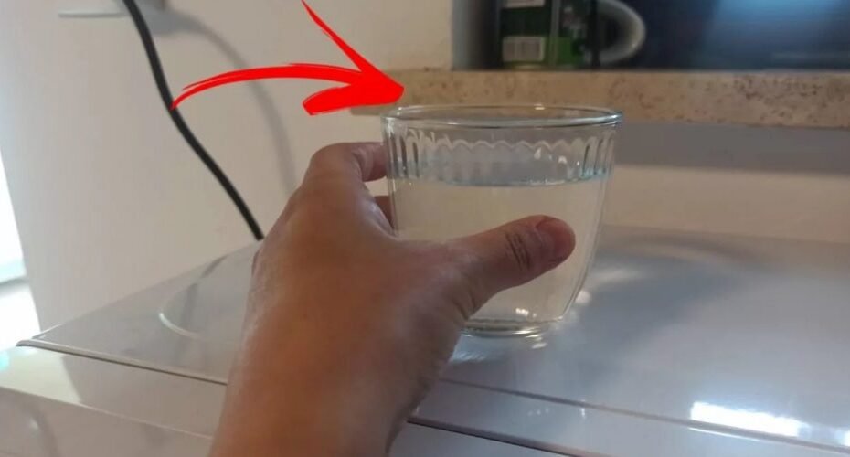 Utilisez l’astuce du verre d’eau et vous ne verrez plus de mouches dans la maison !