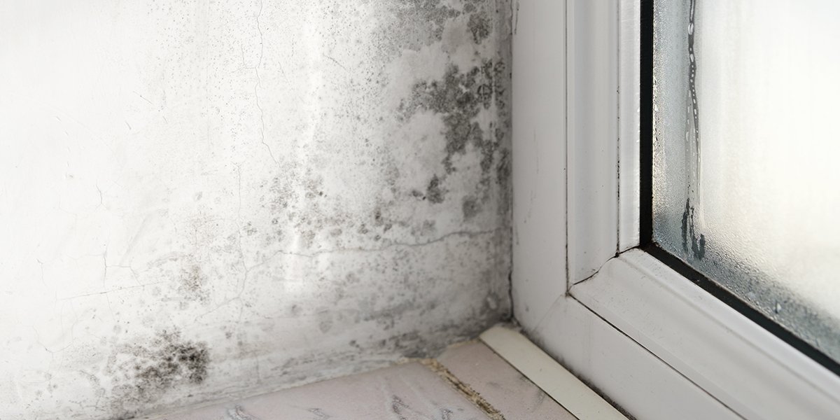 Comment lutter contre l&rsquo;humidité d&rsquo;une maison ? 4 solutions super efficaces !