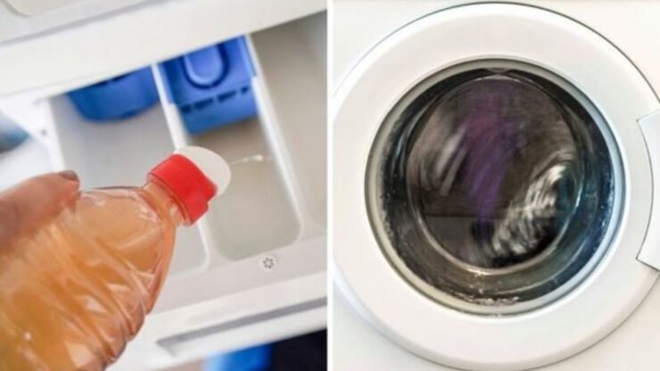 Le réparateur ne te le dira pas, mais c&rsquo;est la seule façon d&rsquo;éviter les problèmes avec ta machine à laver : tu pourras ainsi économiser beaucoup d&rsquo;argent et éviter les appels inutiles