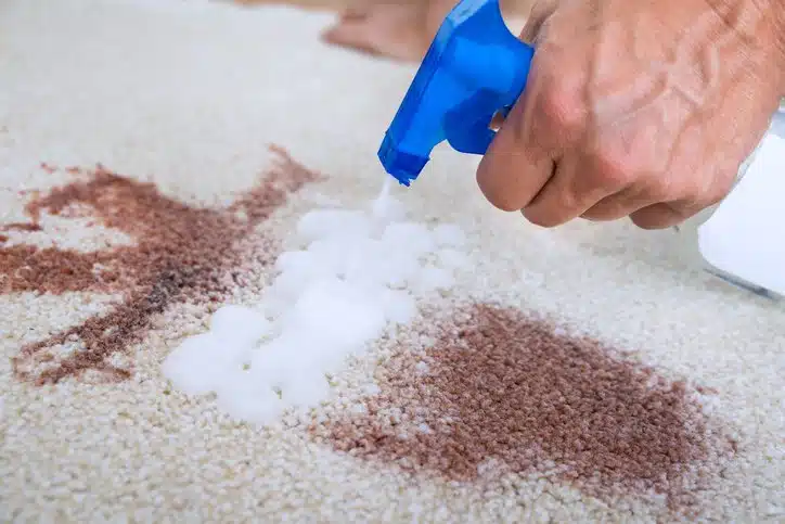 3 conseils pour enlever efficacement les taches des tapis de laine