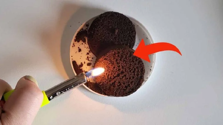 Que se passe-t-il si tu fais griller du marc de café chez toi ? Tu deviens accro !