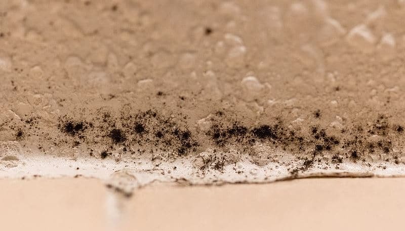 5 conseils de nettoyage pour lutter contre la moisissure dans la salle de bain
