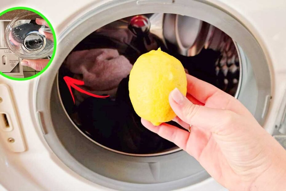 Comment traiter les mauvaises odeurs de la machine à laver grâce aux herbes aromatiques