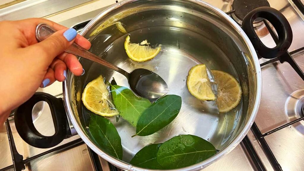 Comment j’ai éliminé l’odeur de la cuisine maison avec quelques remèdes que j’ai essayés et qui fonctionnent