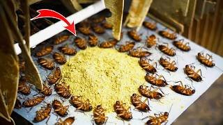 Comment éliminer les cafards instantanément, sans poison et sans dépenser un centime.