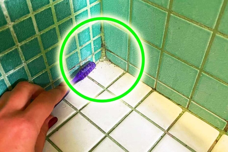 Adieu à la moisissure avec 3 remèdes naturels pour les enlever des coins de la douche