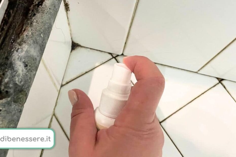 Comment enlever la moisissure du silicone de la douche