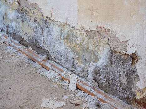 Comment protéger les murs de l’humidité avec ce conseil pour la maison