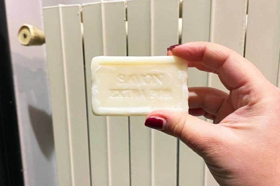 Combien de problèmes le savon de Marseille peut-il résoudre en hiver ?