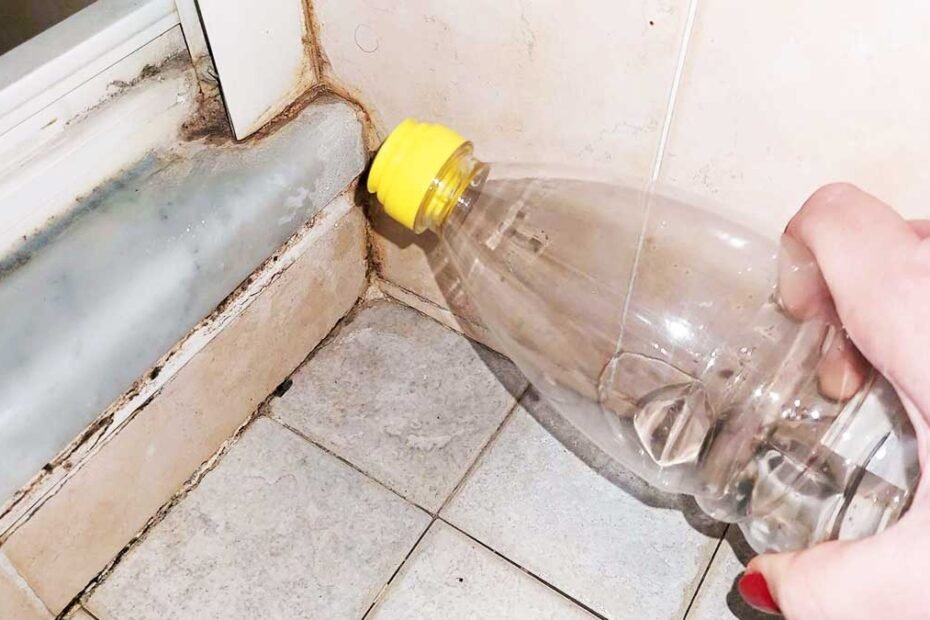 Comment éliminer la moisissure sur les rails de douche et le mastic