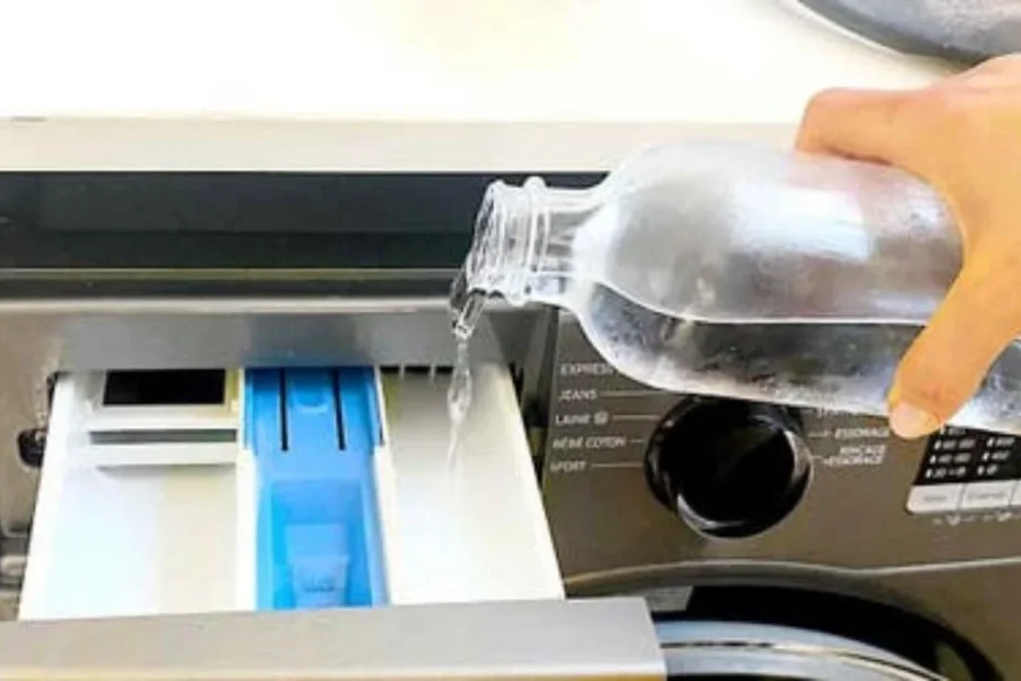UNE MACHINE À LAVER NETTÉE DE FOND EN COMBLE POUR SEULEMENT 3 CENTIMES : LE CALCAIRE ET LES MAUVAISES ODEURS DISPARAÎTRONT