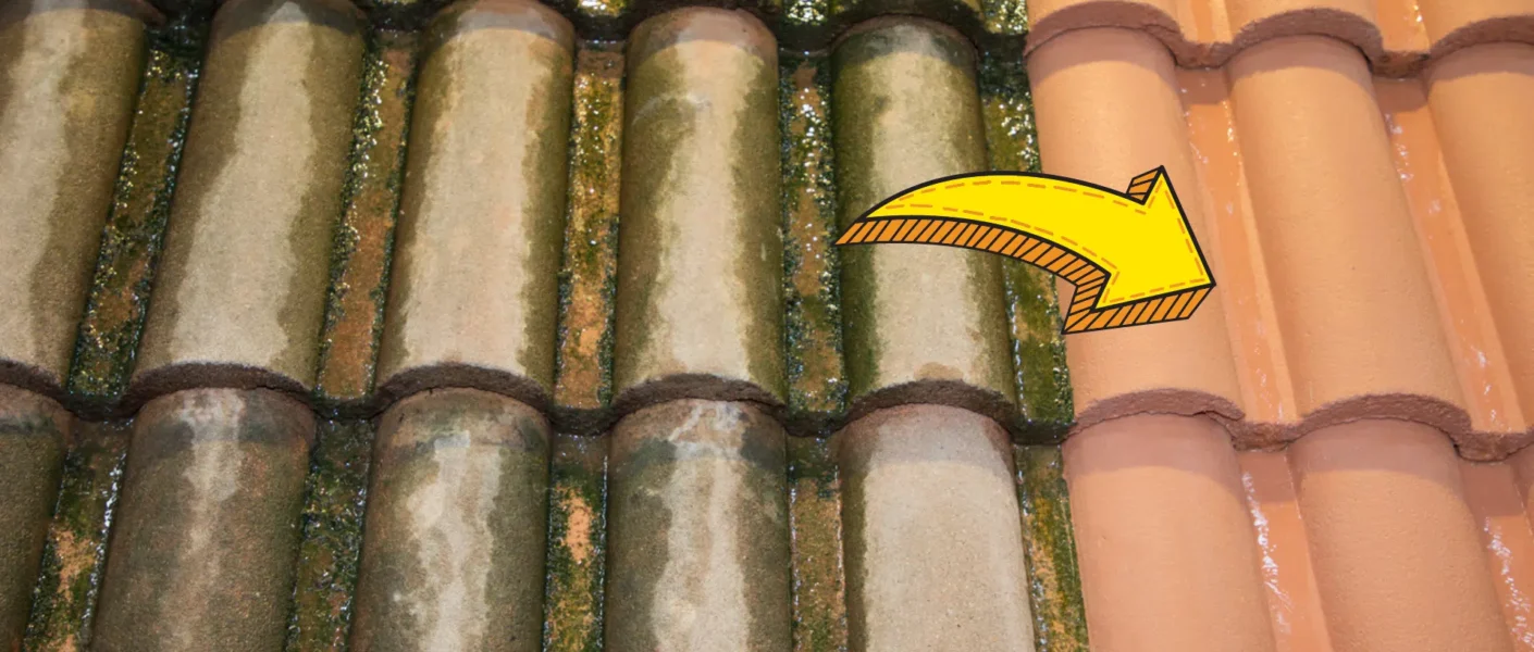 5 astuces naturelles pour éliminer efficacement la mousse de votre toit