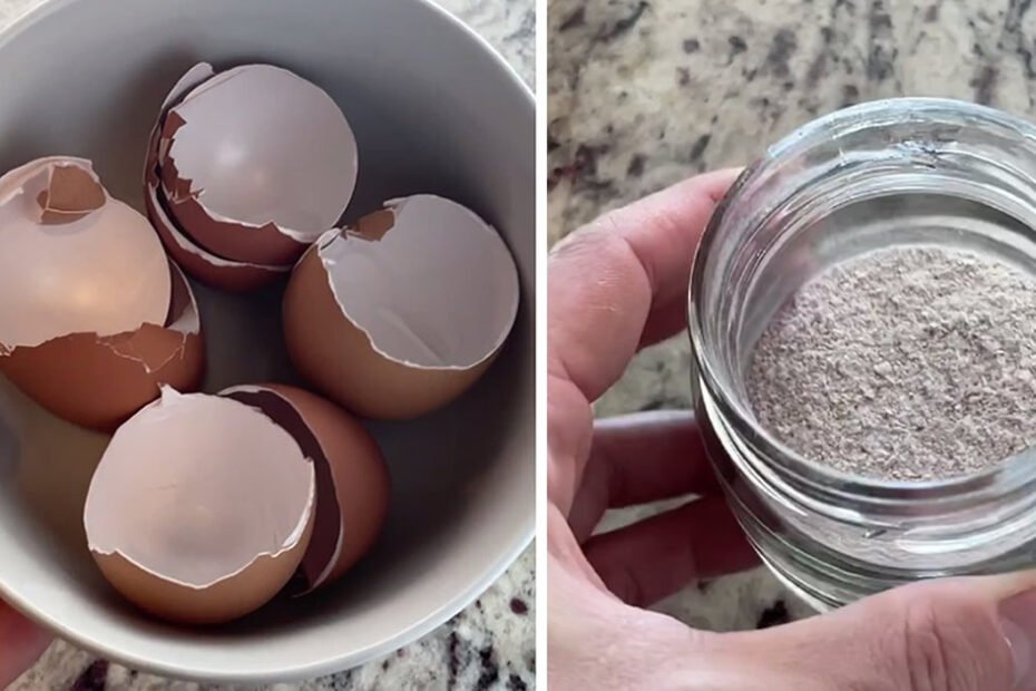 Ne jetez pas les coquilles d’œufs : voici comment vous pouvez les utiliser