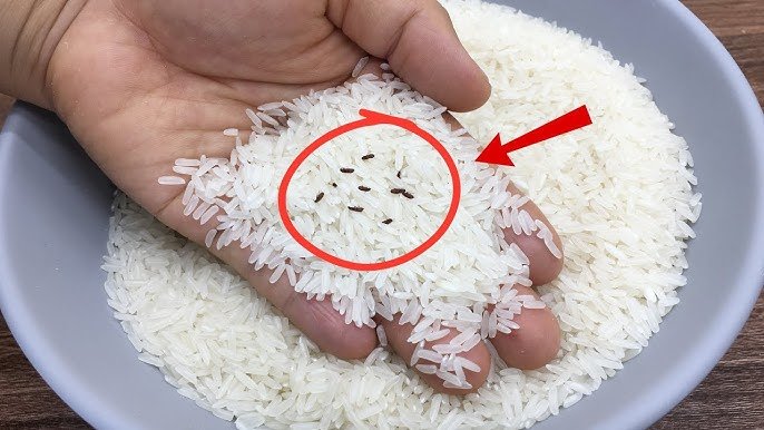 Du riz rempli de poinçons ? L’astuce de 2 minutes d’un vendeur de riz pour les éliminer !
