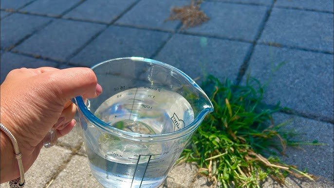 👉Une seule goutte suffit et les mauvaises herbes sèchent instantanément ! D&rsquo;une efficacité redoutabl