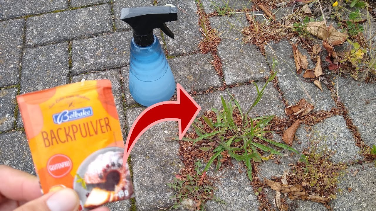 🚨 Désherber avec du bicarbonate : l’astuce simple, rapide et sans effort ! 😱🌿
