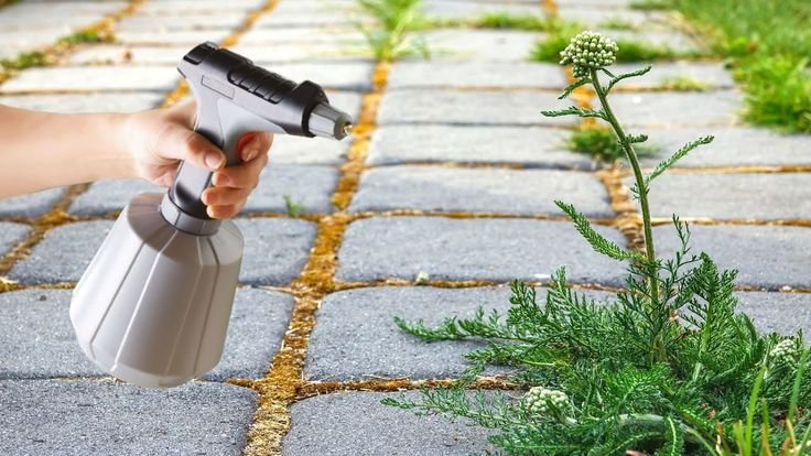 Les mauvaises herbes disparaissent en 2 minutes ! L&rsquo;herbicide biologique le plus puissant