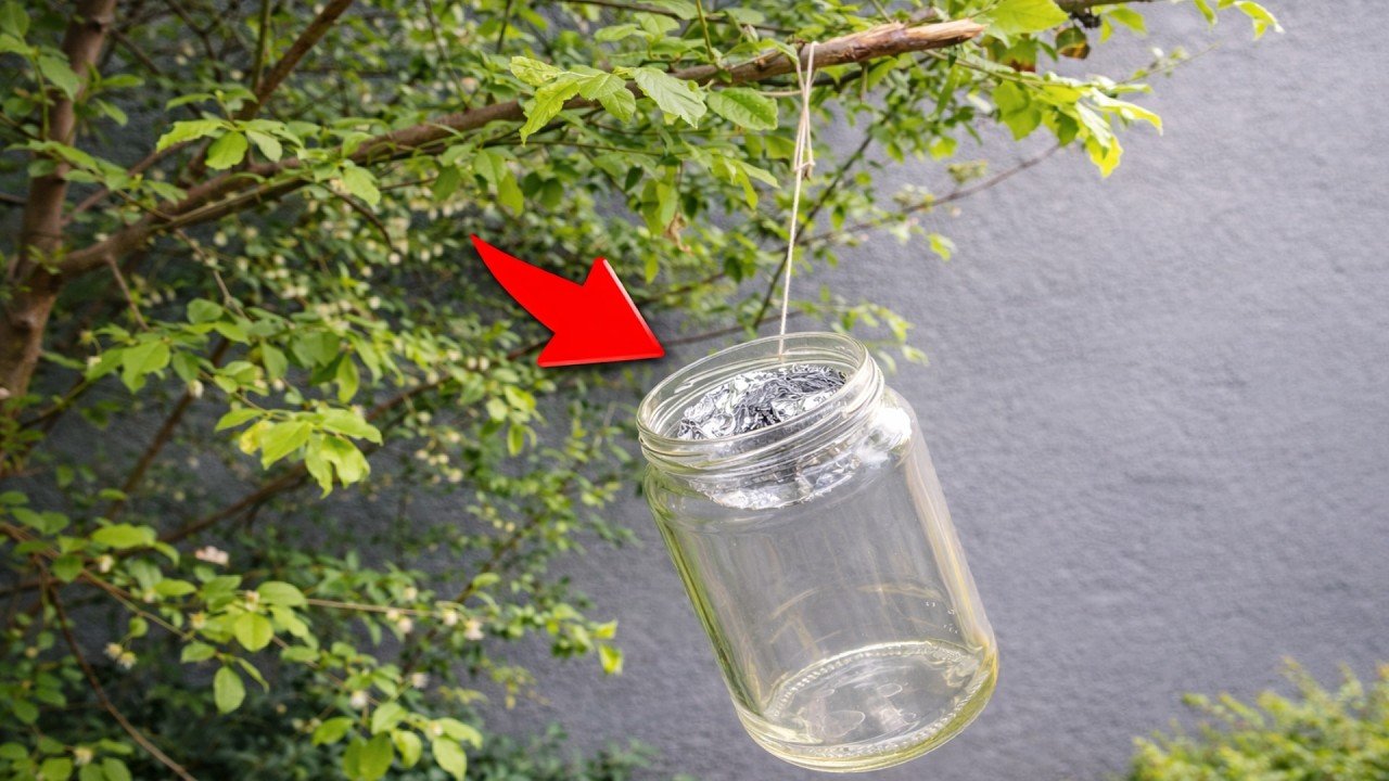 Un bocal sur un arbre ! Un tour de passe-passe surprenant et inattendu !