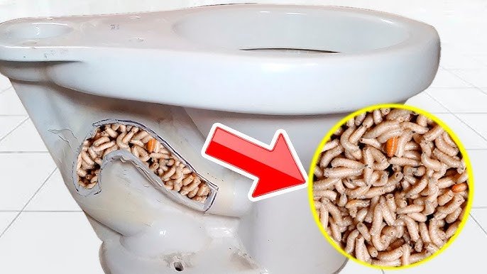 Comment enlever le tartre à l’intérieur des toilettes | N’achetez pas de nouvelles toilettes