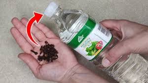 Versez du VINAIGRE dans les CLOUS DE GIROFLE 💥 Le résultat a dépassé toutes mes attentes !