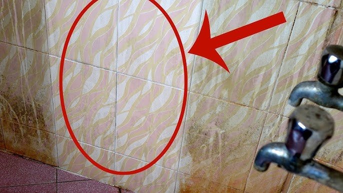 Comment nettoyer facilement les carreaux de la salle de bain | Conseils pour le nettoyage de la salle de bain